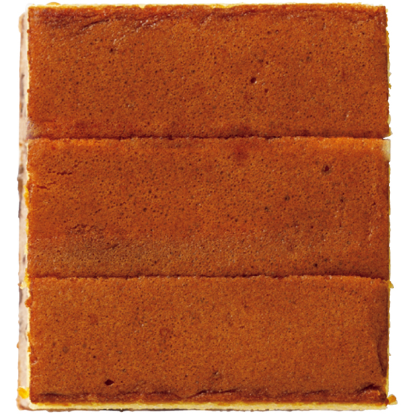 【早得】アサミグリーンプランツ カーネーションの寄せ植え(SUSTEE付)+和泉屋 カステラ「綺麗菓」【母の日】 商品画像(4)