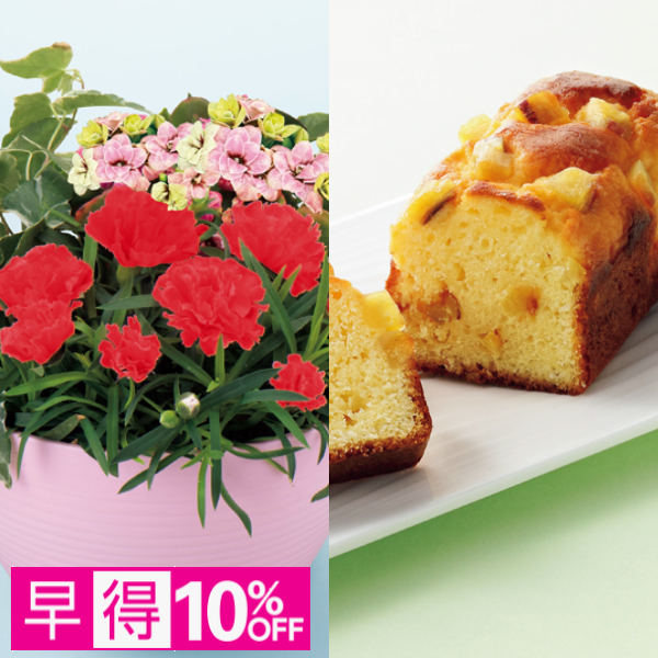 【早得】アサミグリーンプランツ カーネーションの寄せ植え（SUSTEE付）＋東京堂 芋パウンドケーキ【母の日】 商品サムネイル