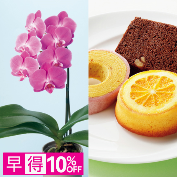 【早得】リーフ ミディ胡蝶蘭「ペニー」（SUSTEE付）＋神戸スイーツポート 母の日焼き菓子セット【母の日】 商品サムネイル