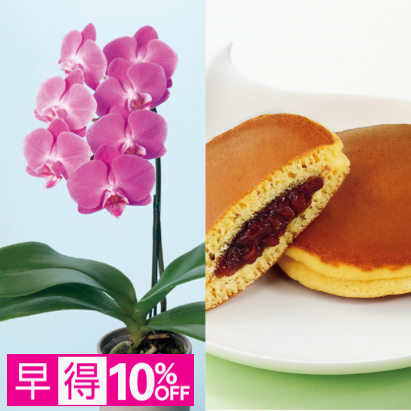 【早得】リーフ ミディ胡蝶蘭「ペニー」（SUSTEE付）＋文明堂 月三笠2個入【母の日】 商品サムネイル