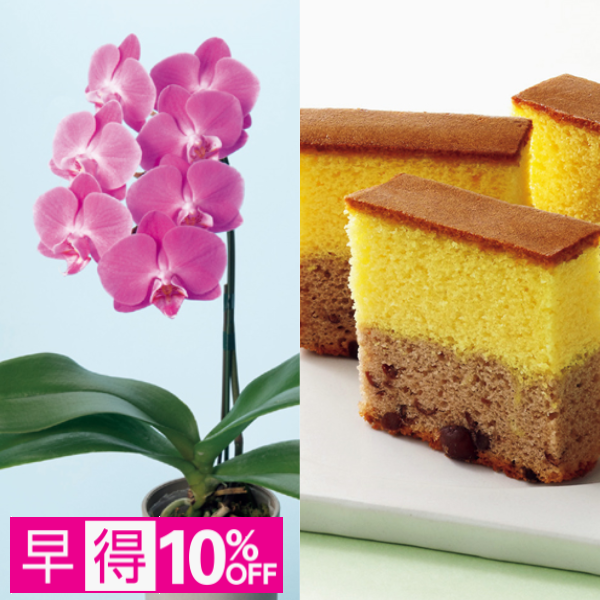 【早得】リーフ ミディ胡蝶蘭「ペニー」（SUSTEE付）＋和泉屋 カステラ「綺麗菓」【母の日】 商品サムネイル