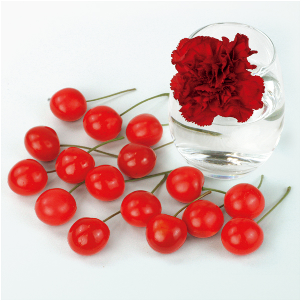 【早得】山形県産 さくらんぼ佐藤錦とカーネーション【母の日】 商品画像(1)