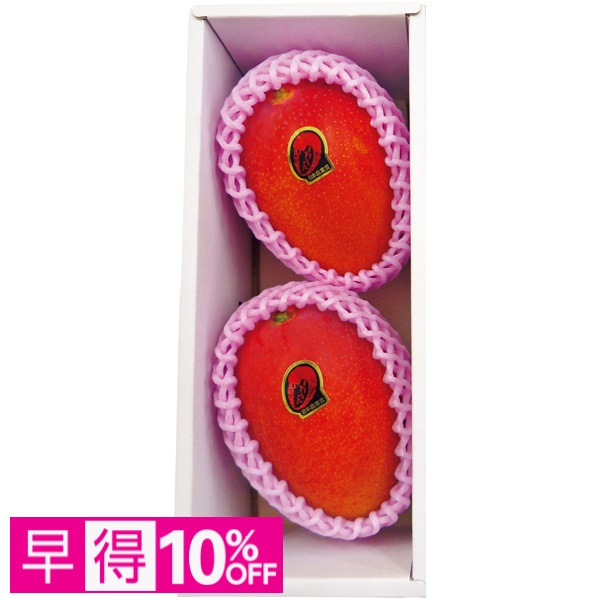 【早得】宮崎県産（JA西都） 宮崎マンゴー2個化粧箱【母の日】 商品サムネイル