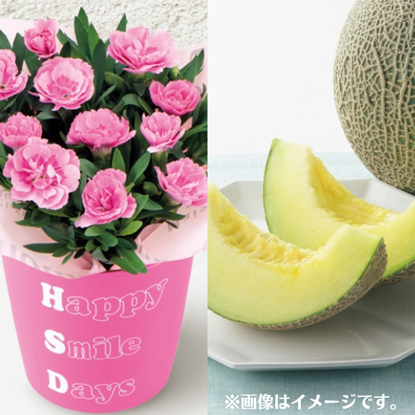 カーネーション＆メロン「肥後グリーン」のセット【母の日】 商品サムネイル