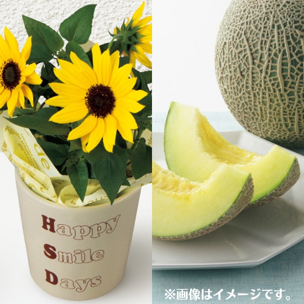 ひまわり＆メロン「肥後グリーン」のセット【父の日】 商品サムネイル