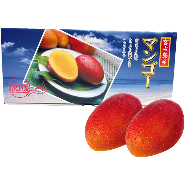 沖縄県産（宮古島） アップルマンゴー 商品サムネイル