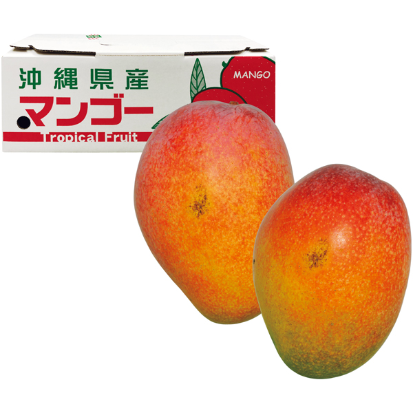 沖縄県産 わけありアップルマンゴー（自宅用） 商品サムネイル
