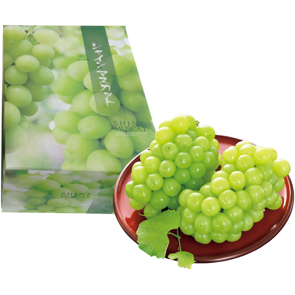 長野県産 ハウスシャインマスカット 商品サムネイル