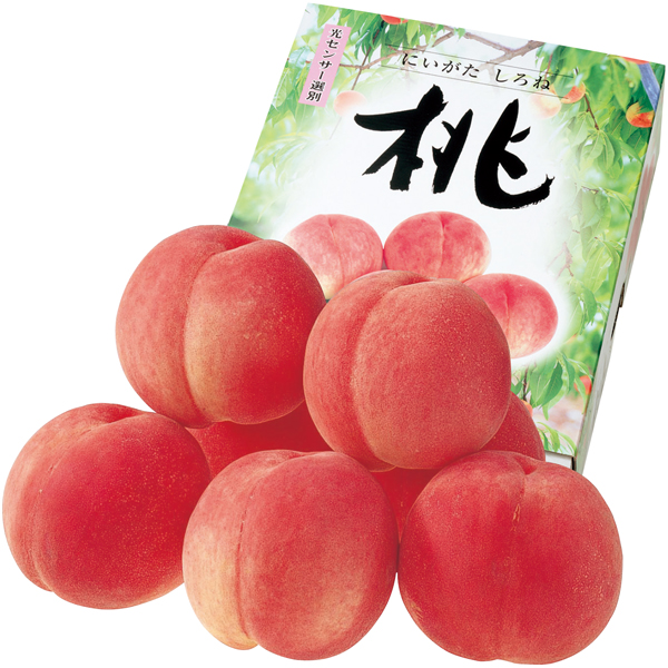 新潟県産（JA新潟かがやき） フルーツフラワーしろねのもも 商品サムネイル