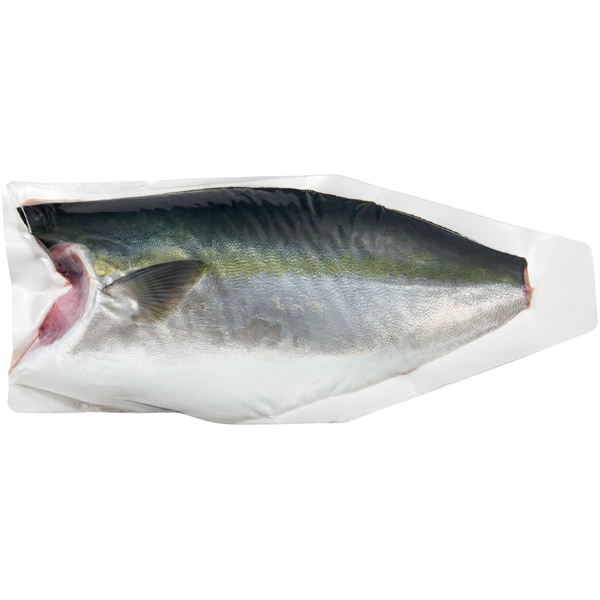 トップバリュ 鹿児島県産活〆はまち（養殖）フィーレ1枚入り 商品サムネイル