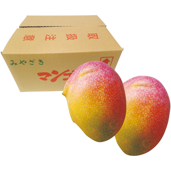 宮崎県産（JA西都） わけありマンゴー（自宅用） 商品サムネイル