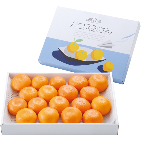 熊本県産 ハウスみかん 商品サムネイル