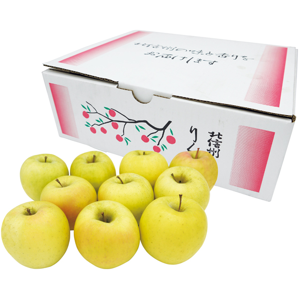 長野県産 おうち用志賀高原のぐんま名月りんご2.7kg以上 商品サムネイル