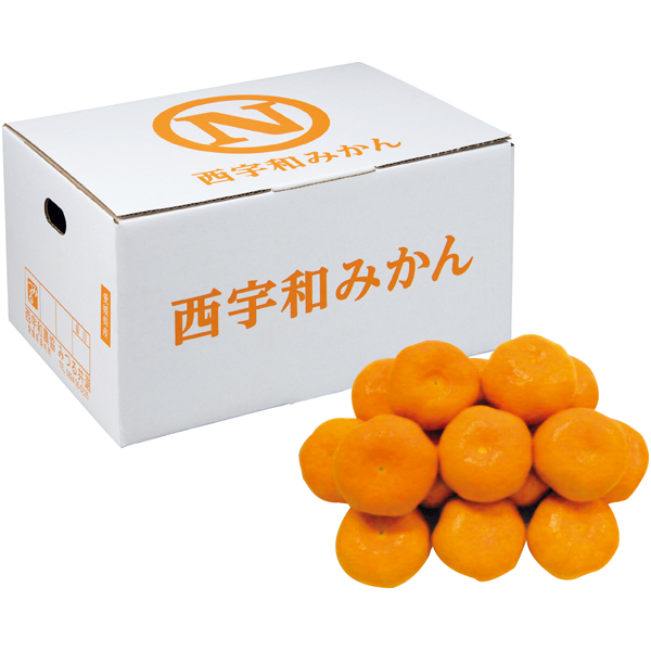 愛媛県産（JA西宇和みつる共選） みつるみかん 白箱 商品サムネイル