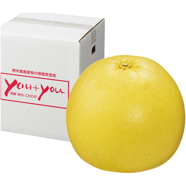 熊本県産 晩白柚 商品サムネイル