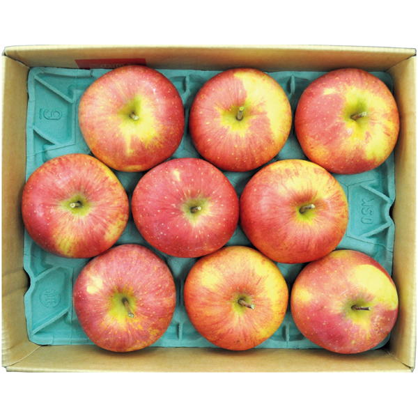 青森県産 葉とらずサンふじりんご 商品サムネイル