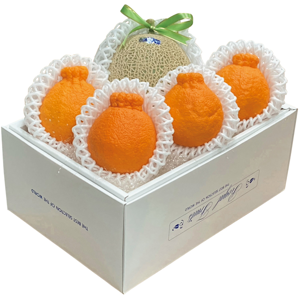 高知県産・熊本県産 アールスメロン＆デコポン 商品サムネイル