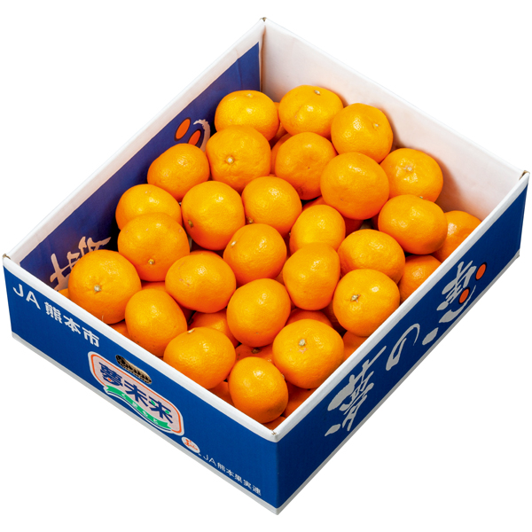 熊本県産 夢未来みかん 夢の恵 商品サムネイル