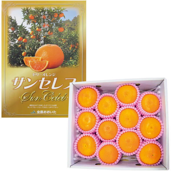 大分県産 ゼリーオレンジ・サンセレブ 商品サムネイル