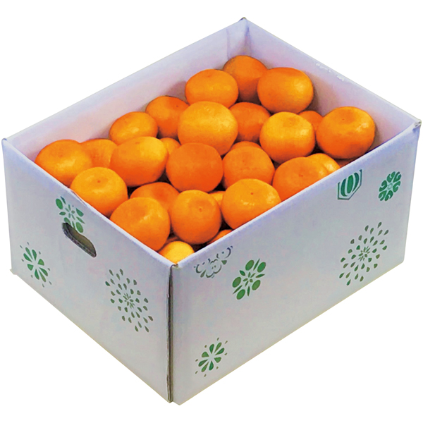 愛媛県産 トップバリュ減の恵み しまなみ育ちのみかん 商品サムネイル