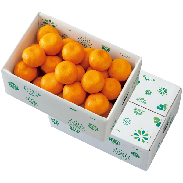 和歌山県産 トップバリュ減の恵み 有田みかん 商品サムネイル