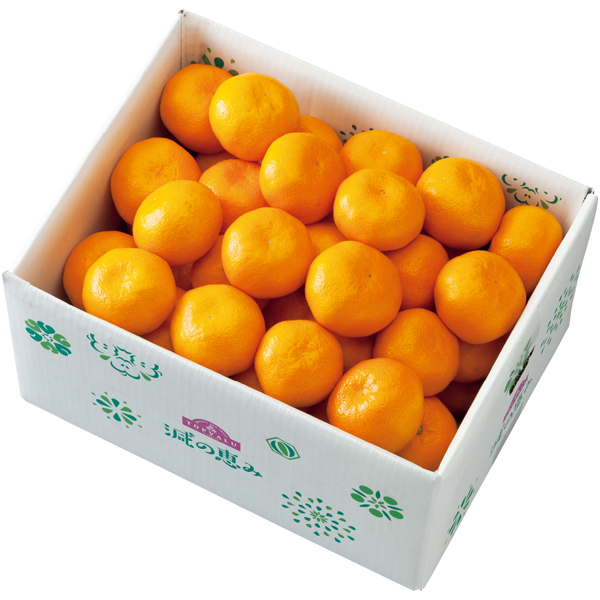 和歌山県産 トップバリュ減の恵み 有田みかん 商品サムネイル
