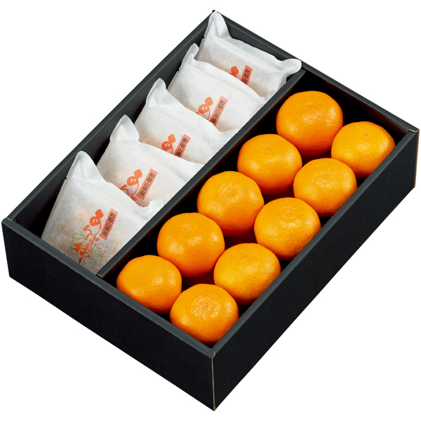 和歌山県産 あんぽ柿（大粒）と有田みかん 商品サムネイル