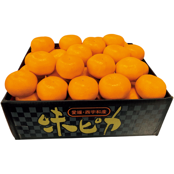 愛媛県産（JAにしうわ川上共選） 味ピカみかん 商品サムネイル