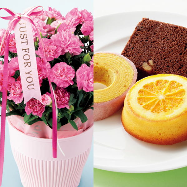 アサミグリーンプランツ カーネーション「ホットハート」（SUSTEE付）＋神戸スイーツポート 母の日焼き菓子セット【母の日】 商品サムネイル