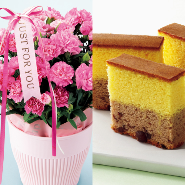 アサミグリーンプランツ カーネーション「ホットハート」（SUSTEE付）＋和泉屋 カステラ「綺麗菓」【母の日】 商品サムネイル