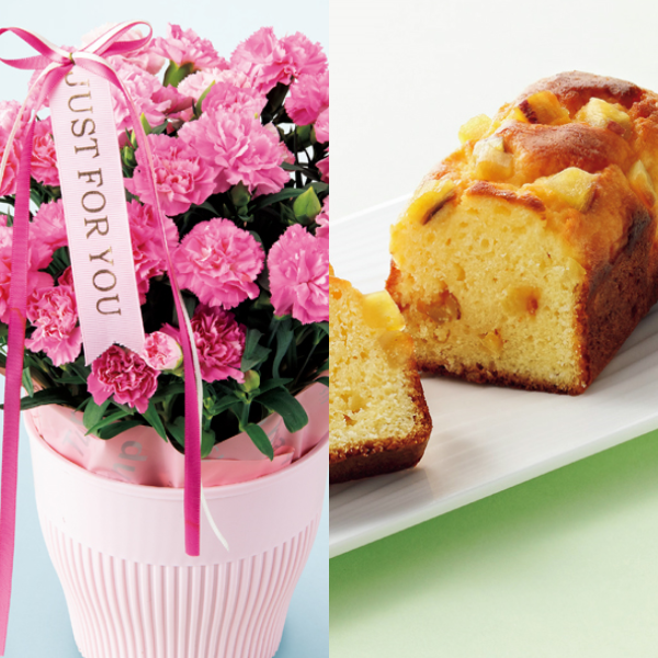 アサミグリーンプランツ カーネーション「ホットハート」（SUSTEE付）＋東京堂 芋パウンドケーキ【母の日】 商品サムネイル
