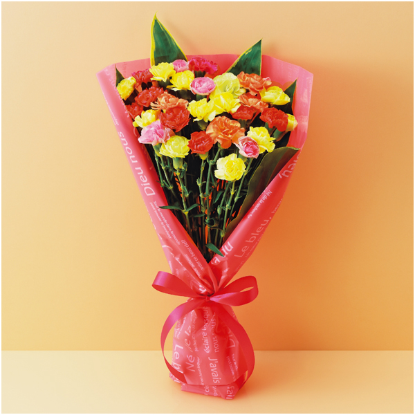 竹中庭園緑化 彩りカーネーションブーケ【母の日】 商品サムネイル