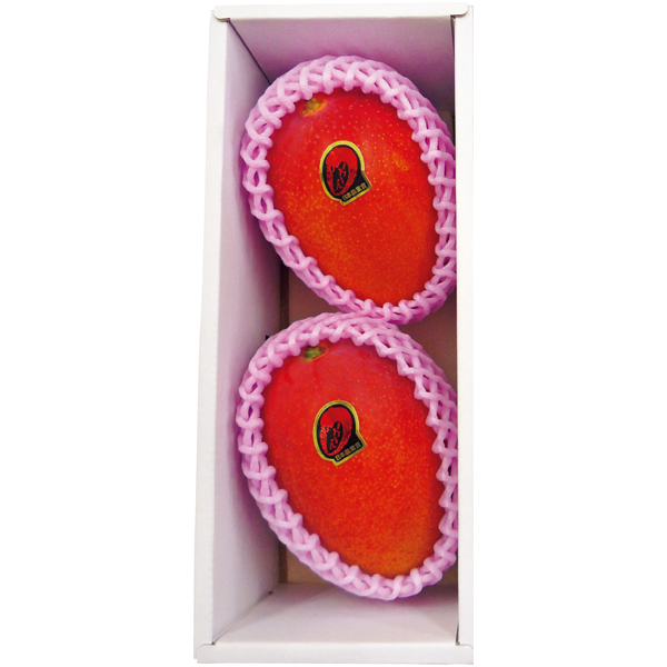 宮崎県産（JA西都） 宮崎マンゴー2個化粧箱【母の日】 商品サムネイル